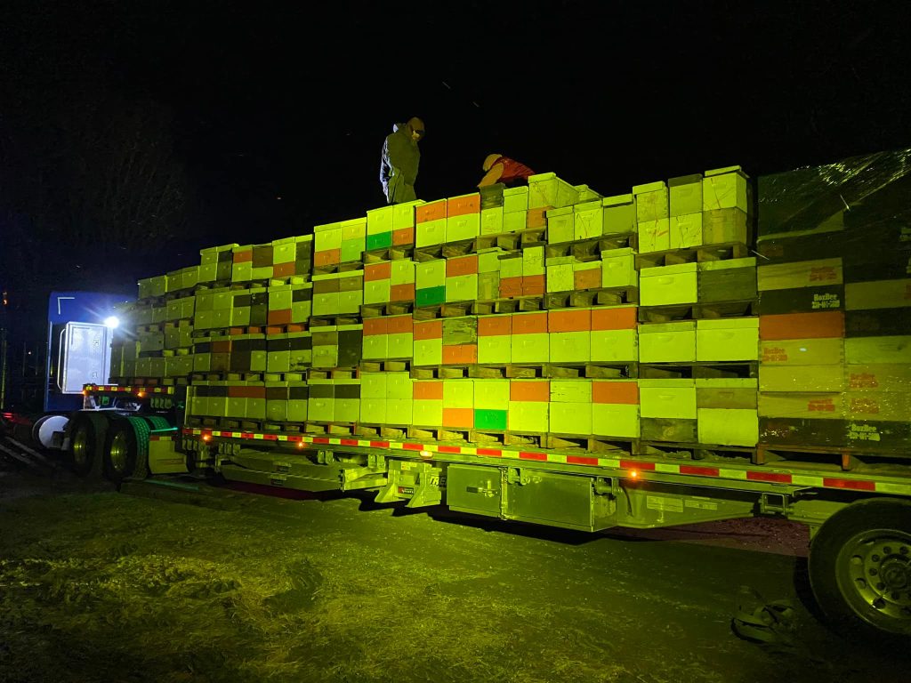 405727559-661099672884749-4038107524308470633-n